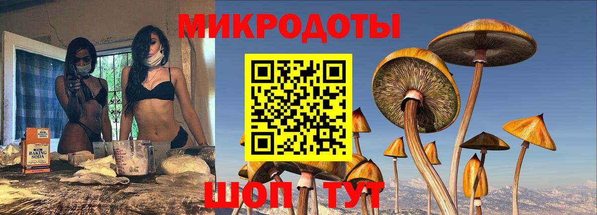 Псилоцибиновые грибы мицелий Волжский